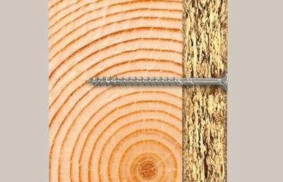 Fischer 574617 Tanos-Box PowerFast II Tanos-Box M173 Spaanplaatschroef 1081 stuk(s)