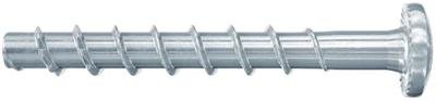 fischer betonschroef - FBS II - 6 x 40/5 P - bolkop - 546378 fischer betonschroef - FBS II - 6 x 40/5 P - bolkop - 546378