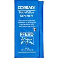 PFERD TOOLS 12314084 CORRADI naaldvijlenset Zwitserse kap 2 in PVC-roltas Lengte 160 mm 1 stuk(s) - thumbnail