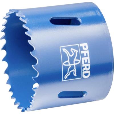 PFERD TOOLS LS 52 52 mm 2 1/16 25101552 Gatenzaag 52 mm 1 stuk(s) PFERD TOOLS LS 52 52 mm 2 1/16 25101552 Gatenzaag 52 mm 1 stuk(s)