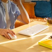 Logitech MK295 Silent Wireless Keyboard and Mouse Combo desktopset - thumbnail