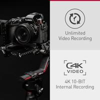 Panasonic LUMIX S5D + 18-40mm F/4.5-6.3 - thumbnail