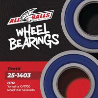ALL BALLS Racing wiellagerset wheel bearing sets 25-140 complete with simmerrings - thumbnail
