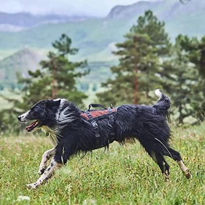 Non-stop dogwear® Hondentuig Rock Harness Long, zwart/oranje, Maat: S Non-stop dogwear® Hondentuig Rock Harness Long, zwart/oranje, Maat: S
