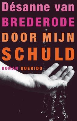 Door mijn schuld - Désanne van Brederode - ebook