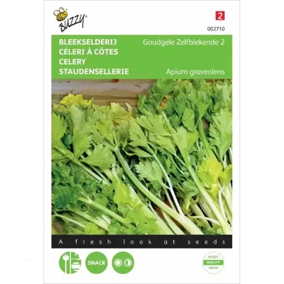 Bleekselderij Goudgele Zelfblekende 2