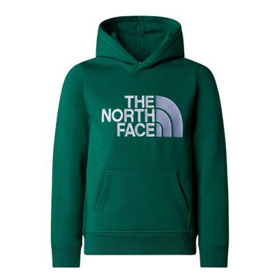 The North Face Drew Peak P/O Casual Sweater Jongens 152 The North Face Drew Peak P/O Casual Sweater Jongens 152