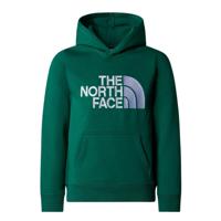 The North Face Drew Peak P/O Casual Sweater Jongens 152 - thumbnail