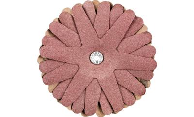 PFERD TOOLS 42732166 Schuursterren Diameter 100 mm 10 stuk(s)