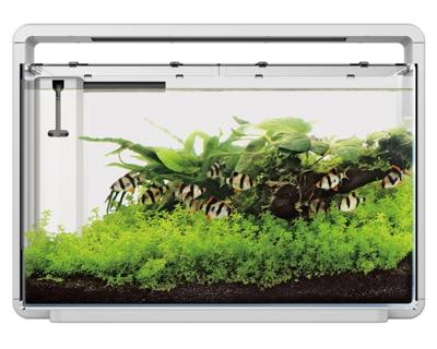 Superfish Home 65 aquarium wit