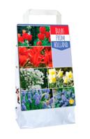 Bulbs from holland 125 bollen - thumbnail