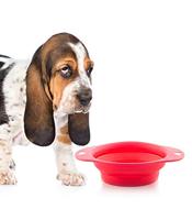 Opvouwbare Silicone Hondenvoerbak - thumbnail