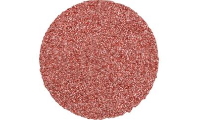 PFERD TOOLS CDR 50 A 36 FORTE 42771503 Schuurblad Korrelgrootte (num) 36 (Ø) 50 mm 100 stuk(s)