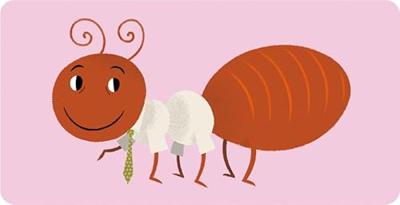 Educatief Spel Asmodee