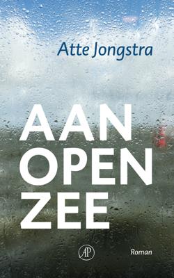 Atte  Jongstra Aan open zee