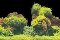 Deco poster e2 60x49cm - thumbnail