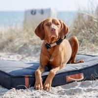 TRIXIE BE NORDIC HONDENMATRAS FOHR ZWART 100X70 CM - thumbnail