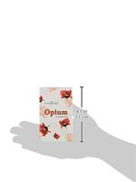 Opium 37169 - Stamford Wierook Kegels - thumbnail