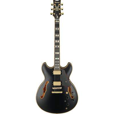 Ibanez JSM20 Black Low Gloss John Scofield Signature semi-akoestische gitaar met koffer Ibanez JSM20 Black Low Gloss John Scofield Signature semi-akoestische gitaar met koffer
