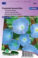 Klimmende Winde bloemzaden - Pronkwinde Heavenly Blue - thumbnail