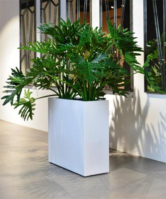 Verrijdbare Argento Roomdivider 80x30x68cm Shiny White