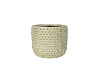 Pot Bolino mint D24 H21