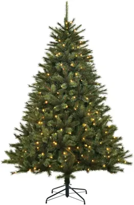 Black Box Trees Toronto Deluxe verlichte kerstboom groen 155cm - 180 lampjes