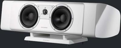 Dynaudio Contour 25C 2.5-weg Wit Bedraad Dynaudio Contour 25C 2.5-weg Wit Bedraad