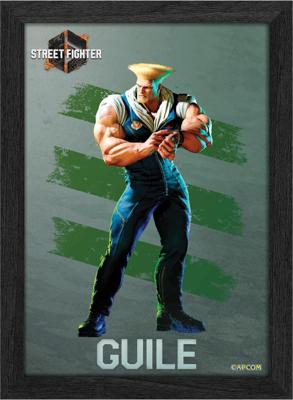 Pixel Frames Plax - Street Fighter 6: Guile (25cm x 30cm)
