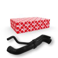 Radiateurslang 36782 - thumbnail