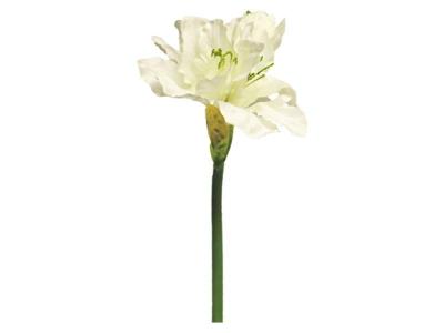 Kunstbloem hippeastrum aline cream, 63 cm Hortus - Hortus