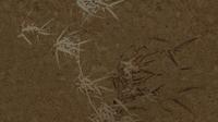 Muance Muance Fotobehang Harmony hues - MU15005 - thumbnail