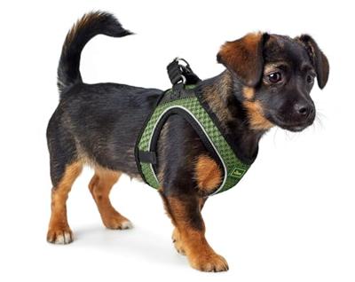 Hondentuigje Hunter Comfort Groen 30-35 cm