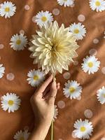 Covers & Co Oopsie Diasy Dekbedovertrek Hazel 200x200x220 - thumbnail