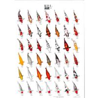 Koiposter nr.3 a4 gelamineerd Aquadistri - Aquadistri - thumbnail