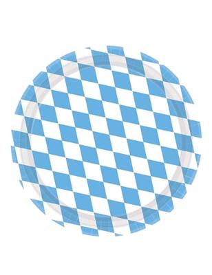 Geruite Papieren Bordjes Blauw/Wit (8st)
