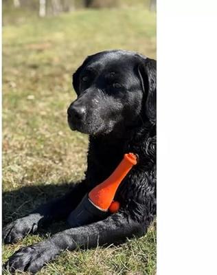 Dog Comets Bobber Orange "Lighthouse"