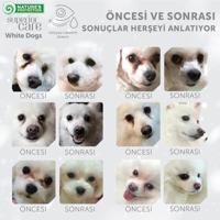 NATURE'S PROTECTION Superior Care White Dogs Grain Free Junior Zalm - droogvoer voor puppy's - 1,5 kg - thumbnail