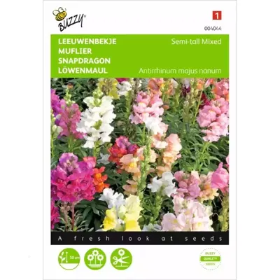 Zaden Antirrhinum Leeuwenbekje half-hoog gemengd Buzzy - Buzzy