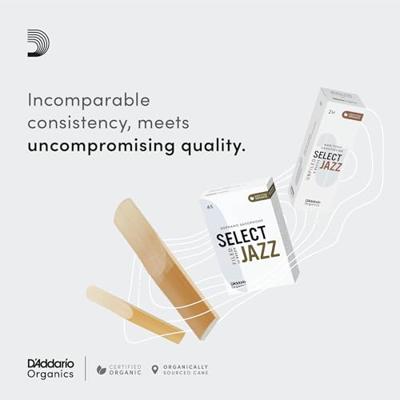 D&apos;Addario Woodwinds ORSF03SSX2H Organic Select Jazz Sopraansaxofoonriet, 2 hard, 3-pack - thumbnail