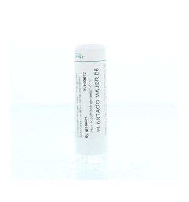 Homeoden Heel Plantago major D6 6 Gram