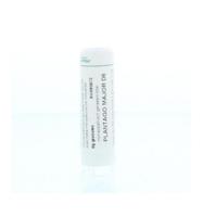 Homeoden Heel Plantago major D6 6 Gram - thumbnail