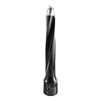 Festool Accessoires DOMINO frees D 10-NL 70 HW-DF 700 - 497869 - thumbnail