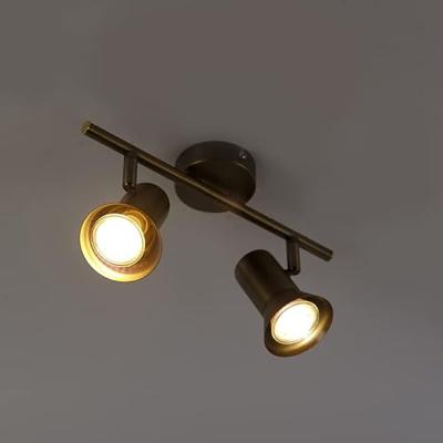 QAZQA Plafondspot brons draai- en kantelbaar - Karin 2