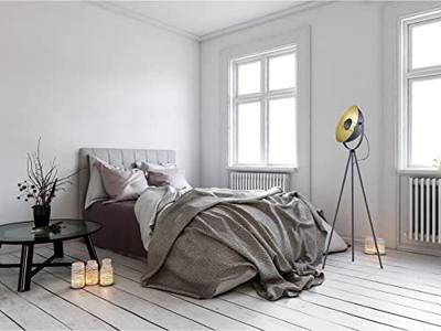 Trio Tripod vloerlampChewy - R40181032