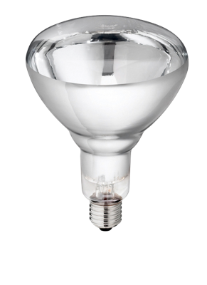 Hard Glas Lamp 250 W - Wit