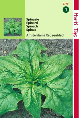 Zaden Spinazie Amsterdams Scherp Zaad 15 Gram Hortitops - Hortitops