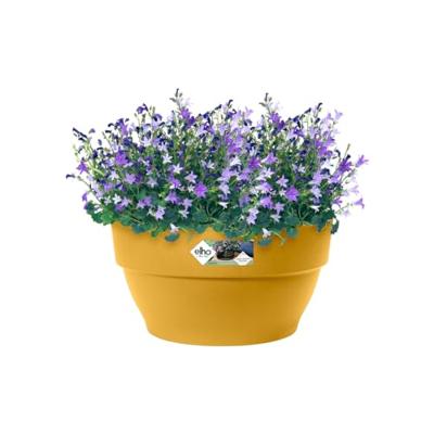 Elho Vibia Campana schaal rond 27 cm honinggeel