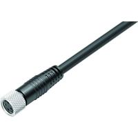 binder 77 3506 0000 50004-0200-20 Sensor/actuator connector, geassembleerd Aantal polen (sensoren): 4 Bus, recht 2 m 1 stuk(s) - thumbnail