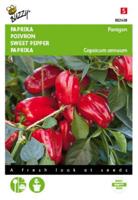 Zaden Paprika Snack Patio - rood - Paragon Buzzy - Buzzy - thumbnail